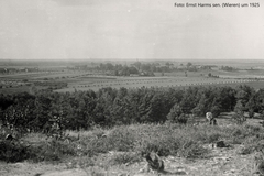 nettelkamp_1925