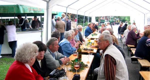 2011-06-25_brunnenfest_05